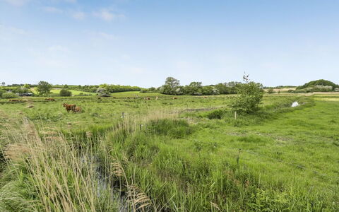 Sigbritt - 100M from the Sea: Himmel, Gras, Wiese, Natürlichen Umgebung, Grün, Ökoregion, Vegetation, Natürliche Landschaft, Wolke, Einfach