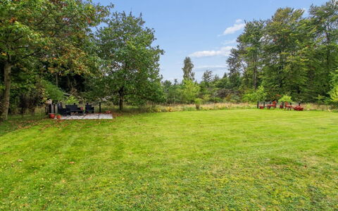 Arvi - 30Km from the Sea: Baum, Gras, Strauch, Garten, Grundstueck, Einfach, Rasen, Wiese, Park