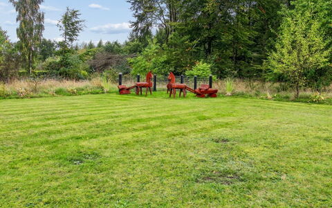 Arvi - 30Km from the Sea: Baum, Gras, Wiese, Strauch, Garten, Grundstueck, Einfach, Rasen, Wiese