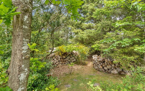 Elevine - 300M to the Fjord: Haus, Zuhause, Wohngebiet, Dach, Hütte, Grundstueck, Estate, Garten, Garten, Abstellgleis