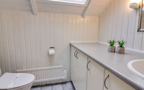 Sebiorn - 300M to the Fjord: Armatur, Flooring, Sinken, Badezimmer, Fussboden, Zapfhahn, Interior Design, Installation, Bad Sink, Badezimmerschrank