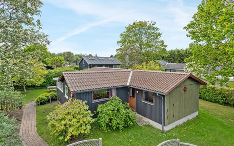 Agnita - 300M from the Sea: Möbel, Interior Design, Flooring, Holz, Fussboden, Decke, Holzboden, Stuhl, Tabelle, Beleuchtung