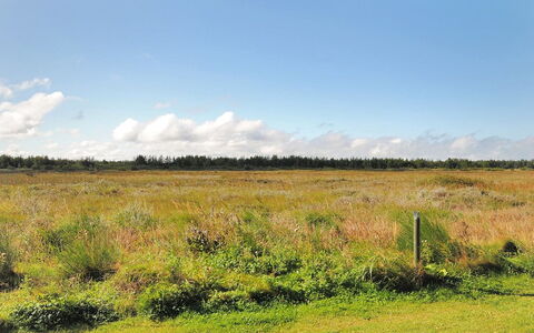Neven - 900M from the Sea: Himmel, Blau, Wolke, Natürlichen Umgebung, Gras, Wiese, Grün, Natürliche Landschaft, Einfach, Ökoregion
