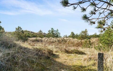 Eroll - 1.8Km from the Sea: Himmel, Blau, Gras, Natürlichen Umgebung, Vegetation, Natürliche Landschaft, Wiese, Ökoregion, Strauch, Pflanzengemeinschaft
