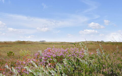 Margrethe - 1.1Km from the Sea: Wohngebiet, Dach, Vorort, Auffahrt, Estate, Kamin