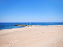 Vasil - 100M to the Fjord