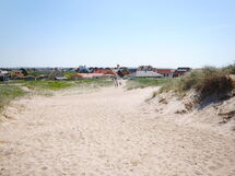 Vasil - 100M to the Fjord