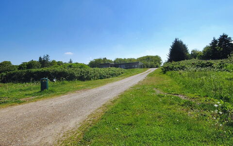 Eloise - 50M to the Fjord: Himmel, Blau, Grün, Gras, Vegetation, Natürliche Landschaft, Wiese, Strauch, Sommer