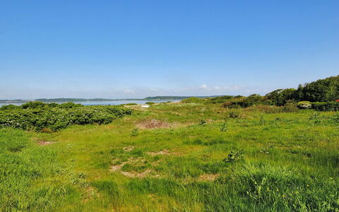Eloise - 50M to the Fjord: Himmel, Blau, Grün, Gras, Wiese, Vegetation, Natürliche Landschaft, Wolke, Horizont, Ökoregion