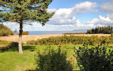 Kaleva - 200M to the Fjord: Himmel, Blau, Grün, Vegetation, Natürliche Landschaft, Einfach, Wiese, Ökoregion, Grundstueck, Feld