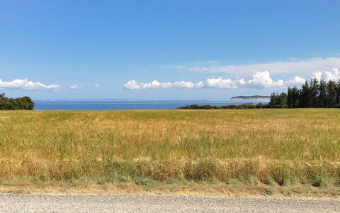 Kaleva - 200M to the Fjord: Blau, Gras, Wolke, Horizont, Wiese, Natürliche Landschaft, Einfach, Ökoregion, Feld, Prärie