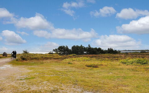 Kaleva - 200M to the Fjord: Himmel, Blau, Wolke, Gras, Natürlichen Umgebung, Vegetation, Wiese, Ökoregion, Horizont, Natürliche Landschaft