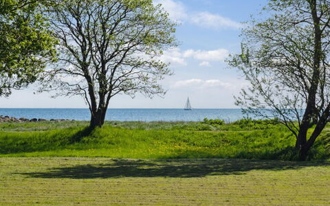 Elba - 100M from the Sea: Schwimmbad, Gartenmöbel, Möbel, Resort, Flagstone, Eco Hotel, Schatten, Stuhl, Freizeit, Estate