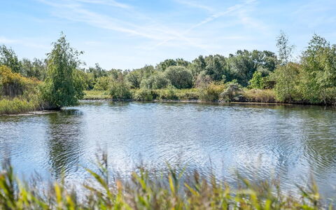 Milo - 5M from the Sea: Himmel, Blau, Wasser, Wasservorräte, Gewässer, Natur, Natürlichen Umgebung, Grün, Natürliche Landschaft, Vegetation