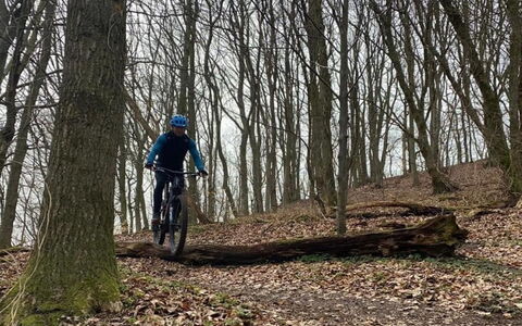 Eva - 1.5Km to the Fjord: Fahrrad-Rad, Fahrrad, Baum, Rad, Mountainbiking