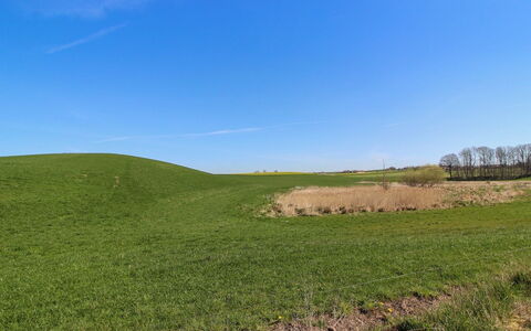 Raafael - 175M from the Sea: Himmel, Blau, Grün, Gras, Natürlichen Umgebung, Wiese, Ökoregion, Natürliche Landschaft, Einfach, Horizont