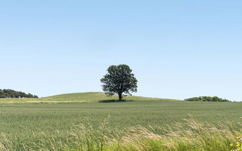 Hila - 900M from the Sea: Wohngebiet, Dach, Vorort, Auffahrt, Estate, Kamin