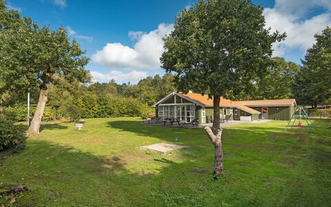 Hermand - 700M from the Sea: Gras, Baum, Zuhause, Haus, Strauch, Hütte, Grundstueck, Ländliches Gebiet, Estate