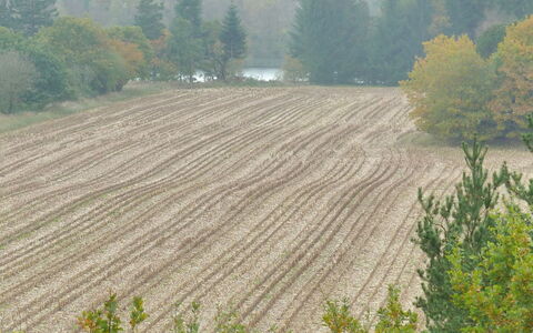 Piia - 800M from the Sea: Baum, Feld, Plantage, Einfach, Landwirtschaft, Grundstueck, Boden, Bauernhof, Ernte