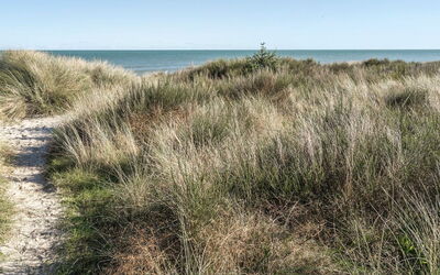 Jeldrik - 100M from the Sea