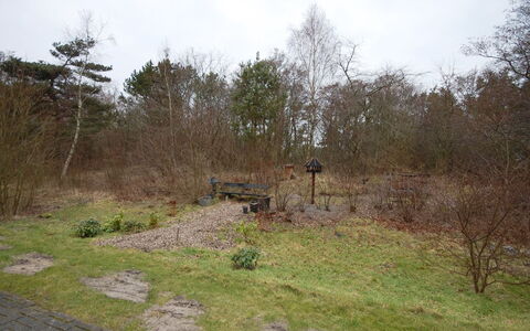 Runhild - 100M from the Sea: Strauch, Grundstueck, Boden, Weg, Wald, Pfad