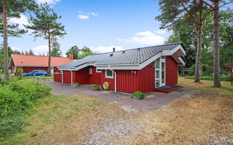 Edzard - 200M from the Sea: Dachdecken, Hütte, Haus, Dach, Zuhause, Bauernhaus, Hütte, Estate, Dorf