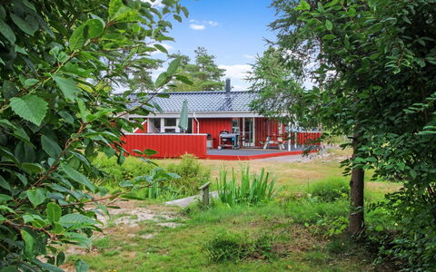 Edzard - 200M from the Sea: Dachdecken, Hütte, Haus, Dach, Zuhause, Bauernhaus, Hütte, Estate, Dorf