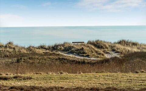 Jyrki - 100M from the Sea: Gras, Ökoregion, Horizont, Wiese, Meer, Pflanzengemeinschaft, Küsten Und Ozeanische Forms, Einfach, Küste, Steppe