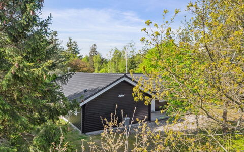 Hejdi - 350M from the Sea: Dach, Haus, Zuhause, Hütte, Tür, Abstellgleis, Deck, Veranda, Planke, Hartholz