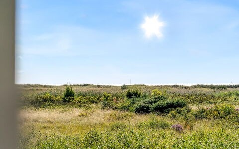 Mumme - 100M from the Sea: Himmel, Blau, Daytime, Grün, Gras, Natürlichen Umgebung, Wiese, Vegetation, Ökoregion, Natürliche Landschaft