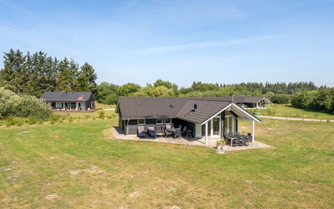 Richard - 4Km from the Sea: Gras, Wiese, Landschaft, Ökoregion, Einfach, Pflanzengemeinschaft, Grundstueck, Gartenmöbel, Prärie, Shrubland
