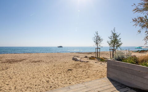 Les Jardins de la Nartelle Plage: Wasser, Himmel, Pflanze, Holz, Sonnenlicht, Küsten Und Ozeanische Forms, Strand, Bank, Morgen, Horizont