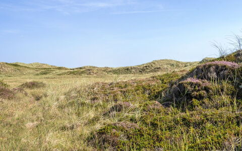 Marjon - 400M from the Sea: Holz, Holzbeize, Planke, Hartholz, Hütte, Deck, Abstellgleis, Schatten, Holzboden, Gartenbauten