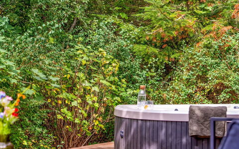 Adam - from the Sea: Strauch, Badewanne, Garten, Gartenmöbel, Jacuzzi, Landscaping, Hinterhof, Schwimmbad, Armatur
