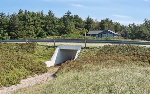 Awenita - 50M to the Fjord: Gras, Wiese, Landschaft, Ökoregion, Einfach, Pflanzengemeinschaft, Grundstueck, Gartenmöbel, Prärie, Shrubland
