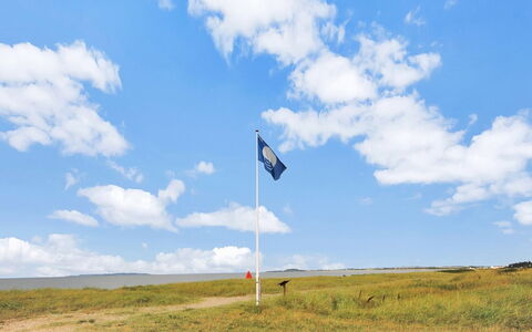 Soraya - 700M to the Fjord: Blau, Gras, Natürlichen Umgebung, Natur, Flagge, Wiese, Ökoregion, Sommer, Landschaft, Einfach