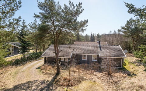 Sighbiorn - 950M from the Sea: Blau, Strauch, Hütte, Ground, Garten, Estate, Schatten, Landscaping, Bauernhaus, Eco Hotel