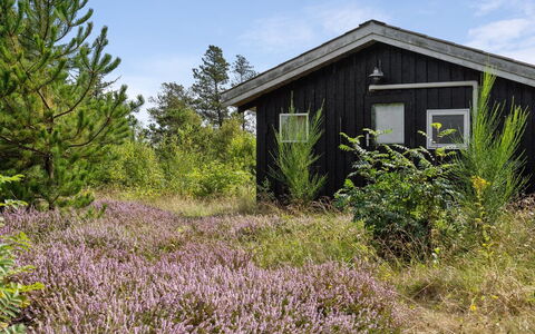 Asmo - 350M from the Sea: Blau, Strauch, Hütte, Ground, Garten, Estate, Schatten, Landscaping, Bauernhaus, Eco Hotel