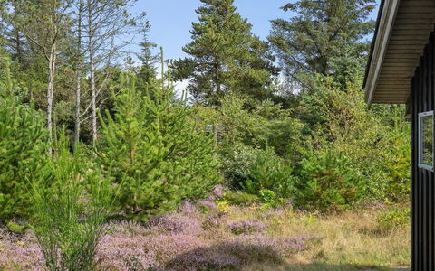 Asmo - 350M from the Sea: Blau, Strauch, Hütte, Ground, Garten, Estate, Schatten, Landscaping, Bauernhaus, Eco Hotel