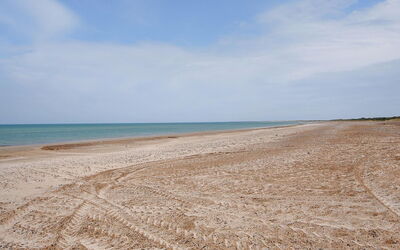 Gunnie - 1.1Km from the Sea