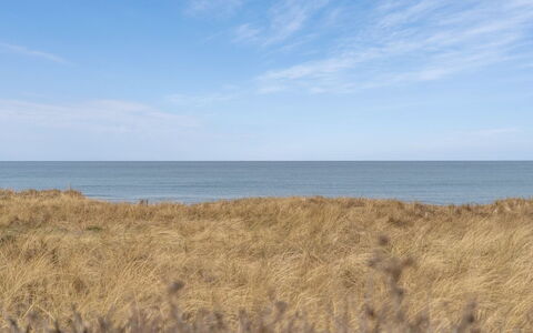 Jace - 75M from the Sea: Möbel, Interior Design, Flooring, Holz, Fussboden, Decke, Holzboden, Stuhl, Tabelle, Beleuchtung