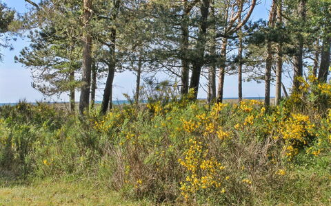 Hatem - 200M from the Sea: Holz, Zuhause, Veranda, Deck, Hartholz, Dach, Holzbeize, Holzboden, Eco Hotel