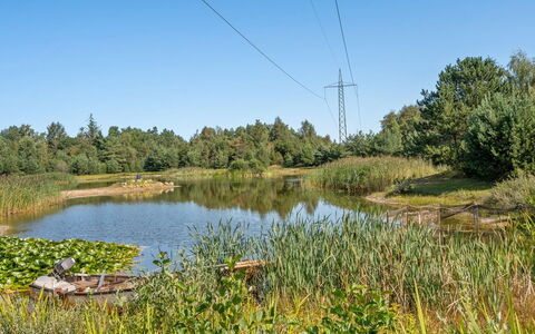 Harthe - 800M from the Sea: Schwimmbad, Gartenmöbel, Möbel, Resort, Flagstone, Eco Hotel, Schatten, Stuhl, Freizeit, Estate