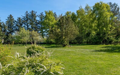Ognen - 1.5Km from the Sea