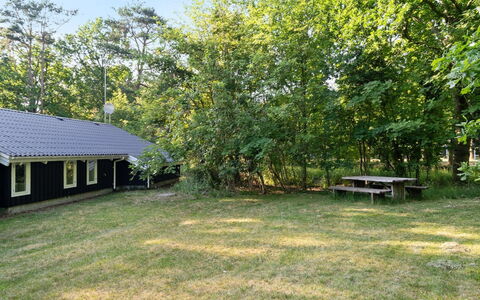 Lovis - 600M from the Sea: Gras, Baum, Grundstueck, Ländliches Gebiet, Schatten, Garten, Ground, Rasen, Hütte, Hinterhof