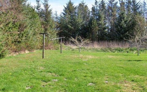 Eljena - 600M from the Sea: Gras, Wiese, Einfach, Grundstueck, Weide, Wiese, Lärche, Feld, Rasen