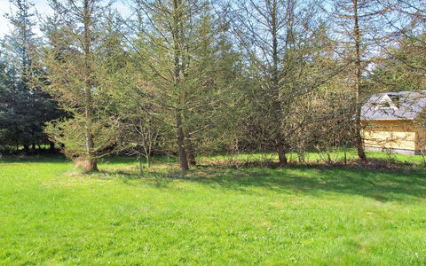 Eljena - 600M from the Sea: Baum, Blatt, Lärche, Gehölz, Wiese, Weide, Wald, Rasen