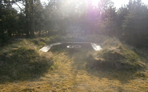 Dorith - 400M from the Sea: Gras, Boden, Schatten