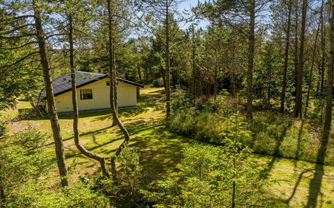 Hakan - 4Km from the Sea: Blau, Strauch, Hütte, Ground, Garten, Estate, Schatten, Landscaping, Bauernhaus, Eco Hotel