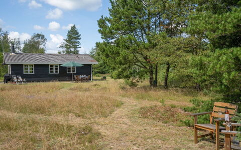 Gizelle - 1.5Km from the Sea: Gras, Baum, Gebäude, Haus, Dach, Zuhause, Hütte, Ländliches Gebiet, Wiese